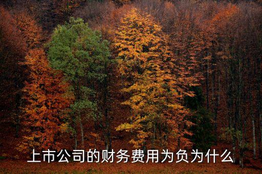 上市公司的財務費用為負為什么
