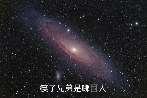 筷子兄弟是哪國人