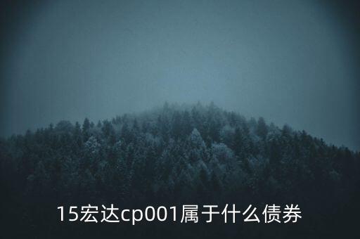 債券cp001什么意思，債券后面的數(shù)字01或者02是什么意思