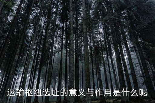 運(yùn)輸樞紐選址的意義與作用是什么呢