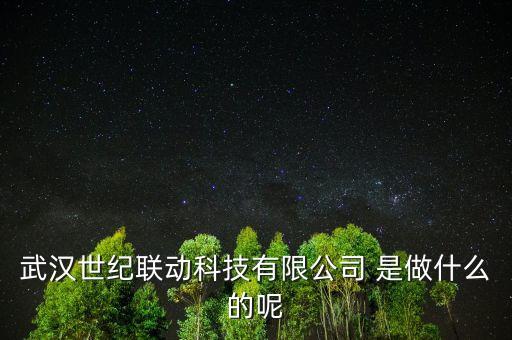 武漢世紀聯(lián)動科技有限公司 是做什么的呢
