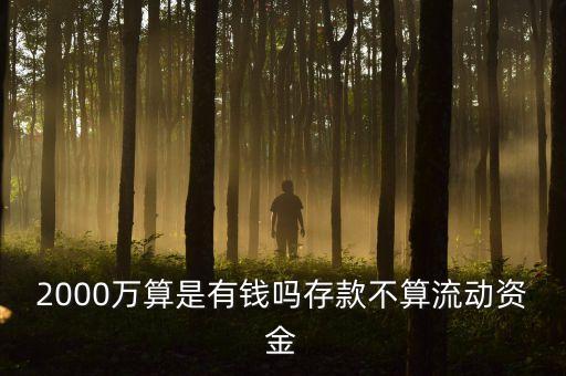 2000萬(wàn)算是有錢(qián)嗎存款不算流動(dòng)資金