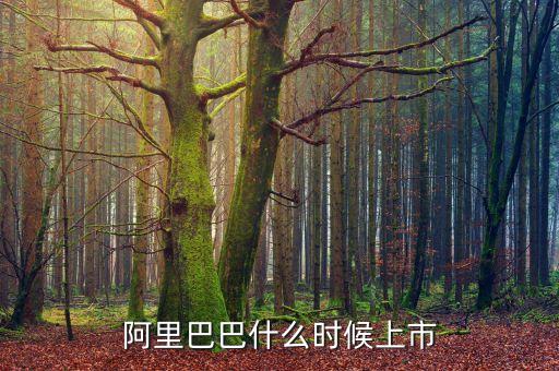 阿里巴巴什么時候上市