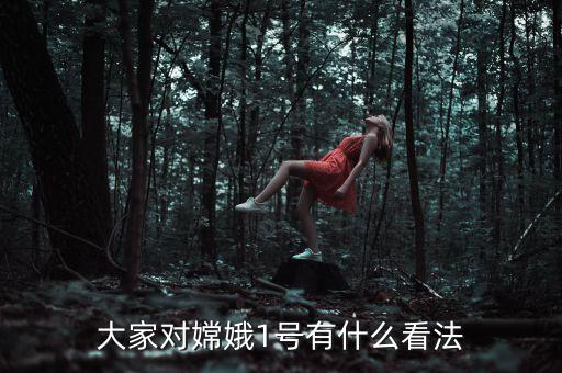 大家對嫦娥1號有什么看法