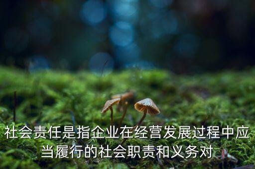 社會(huì)責(zé)任是指企業(yè)在經(jīng)營(yíng)發(fā)展過程中應(yīng)當(dāng)履行的社會(huì)職責(zé)和義務(wù)對(duì)