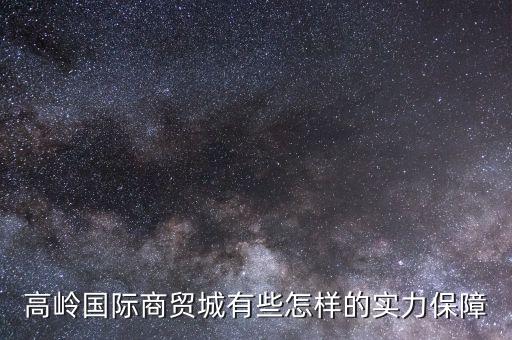 高嶺國際商貿(mào)城有些怎樣的實(shí)力保障