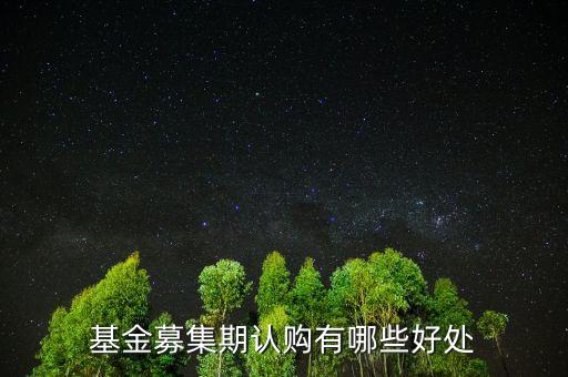 基金認(rèn)購有什么好處，認(rèn)購首發(fā)股票基金有什么好處和壞處