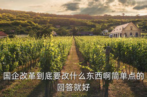 國(guó)企改革到底要改什么東西啊簡(jiǎn)單點(diǎn)的回答就好