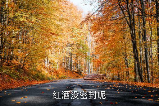 紅酒沒(méi)密封呢