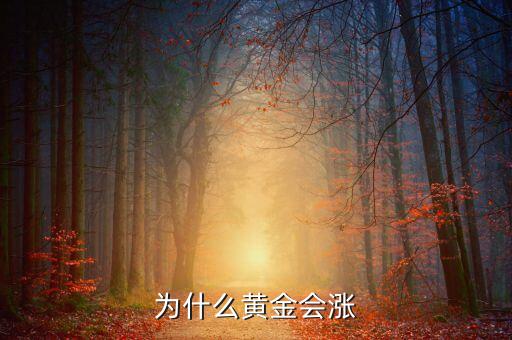 為什么黃金會(huì)漲