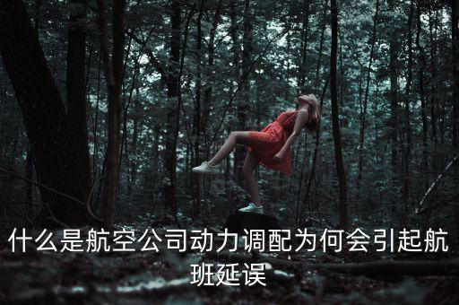 航空運力是什么，什么事航空運輸業(yè)的運力