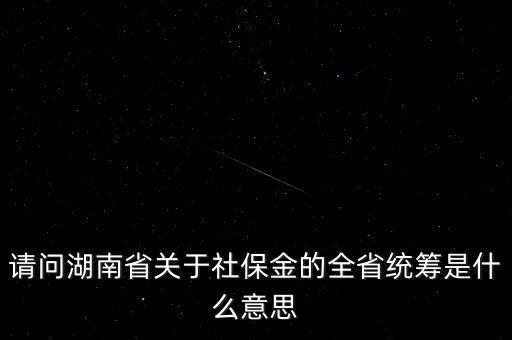 社保統(tǒng)籌金是什么意思，請問湖南省關(guān)于社保金的全省統(tǒng)籌是什么意思