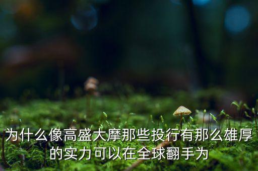 為什么來大摩，為什么經(jīng)濟實力不如摩根大通的摩根士丹利反而被稱作大摩  搜