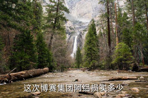 博賽集團(tuán)阿壩鋁廠有些什么部門，這次博賽集團(tuán)阿鋁損實(shí)多少