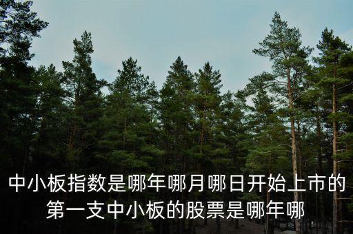 上證a股000002什么時(shí)候上市的，中小板指數(shù)是哪年哪月哪日開(kāi)始上市的第一支中小板的股票是哪年哪