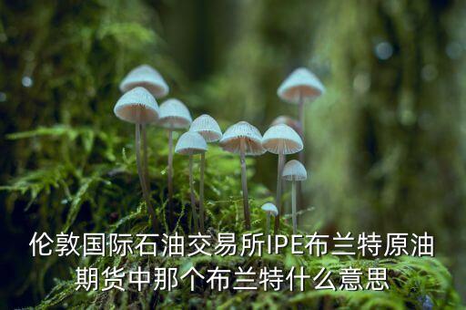 倫敦國際石油交易所IPE布蘭特原油期貨中那個(gè)布蘭特什么意思