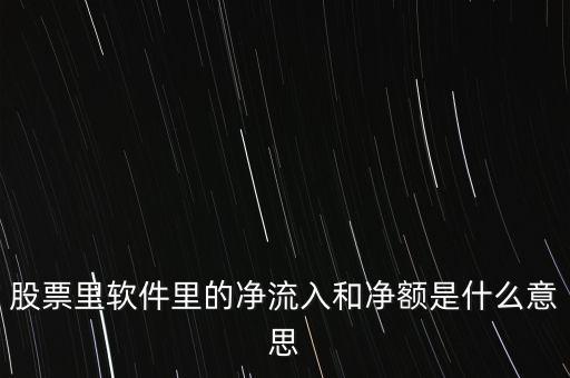 股票凈額是什么意思，股票中什么叫銷售收入凈額