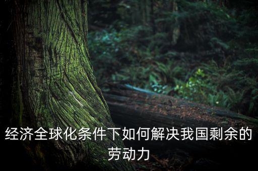 發(fā)達國家為什么要援助發(fā)展中國家，經濟全球化條件下如何解決我國剩余的勞動力