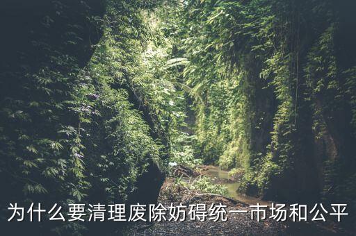 妨礙市場(chǎng)的有效出清是什么意思，為什么要清理廢除妨礙統(tǒng)一市場(chǎng)和公平