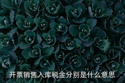 開(kāi)票銷售入庫(kù)稅金分別是什么意思