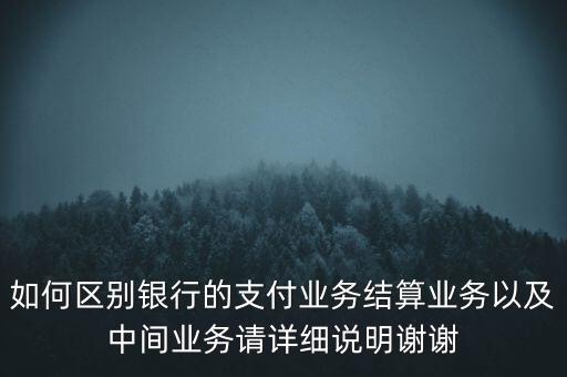 什么是支付結(jié)算業(yè)務(wù)，銀行的支付結(jié)算業(yè)務(wù)狀況指什么