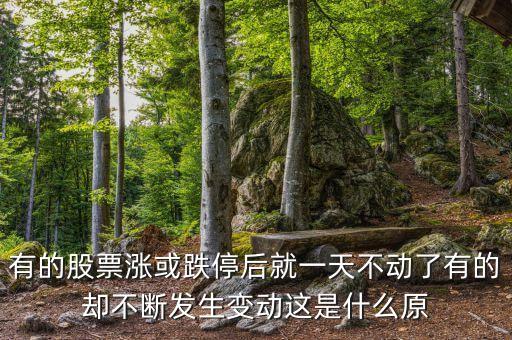 有的股票漲或跌停后就一天不動了有的卻不斷發(fā)生變動這是什么原