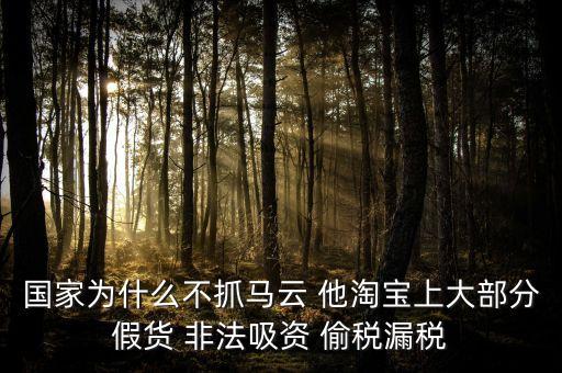 國家為什么不把馬云雙規(guī)了，國家為什么不抓馬云 他淘寶上大部分假貨 非法吸資 偷稅漏稅