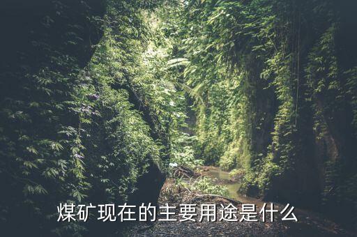 發(fā)達(dá)國(guó)家煤炭用來干什么，煤炭具有多種用途作為最終產(chǎn)品的是