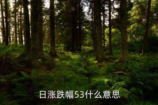 日漲跌幅53什么意思