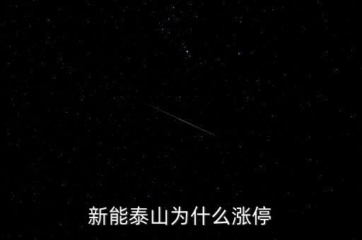 股票新能泰山是做什么的，新能泰山是核電股票