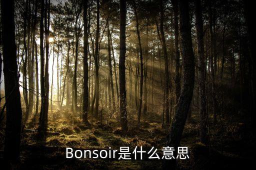 卓易云是什么，Bonsoir是什么意思