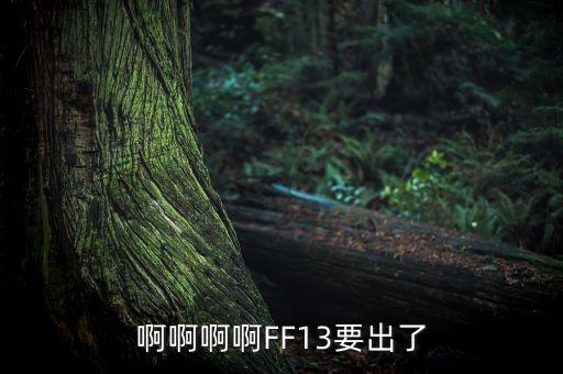 什么是賣方首席，啊啊啊啊FF13要出了