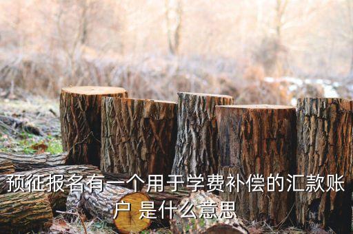 匯付開(kāi)戶什么意思，預(yù)征報(bào)名有一個(gè)用于學(xué)費(fèi)補(bǔ)償?shù)膮R款賬戶 是什么意思