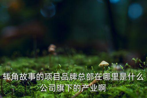 氏樂邦是什么公司，apetrelume company是什么公司