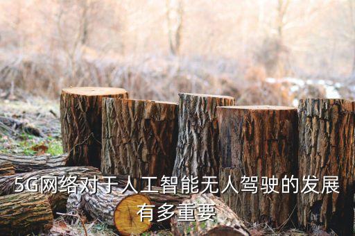 5G網(wǎng)絡(luò)對(duì)于人工智能無(wú)人駕駛的發(fā)展有多重要