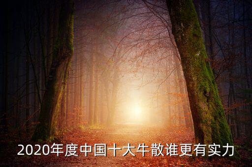 2020年度中國(guó)十大牛散誰更有實(shí)力