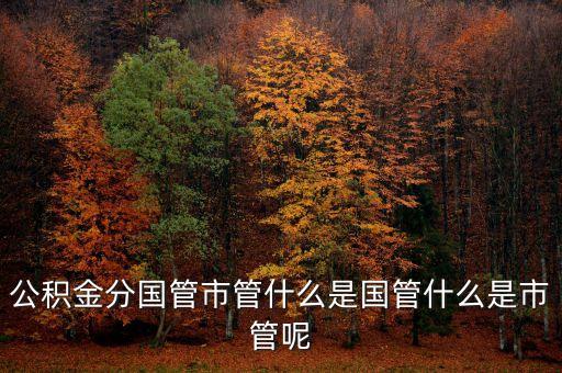什么是國(guó)管公積金，公積金分國(guó)管市管什么是國(guó)管什么是市管呢