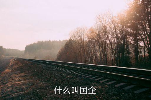 什么是國(guó)企，什么叫國(guó)企