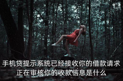 手機貸正在審核是什么意思，手機貸提示系統(tǒng)已經(jīng)接收你的借款請求正在審核你的收款信息是什么