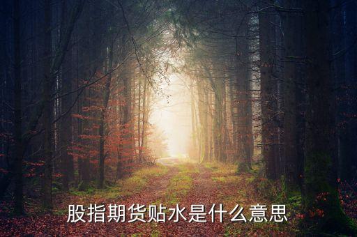 股票貼水是什么意思，股指期貨貼水是什么意思