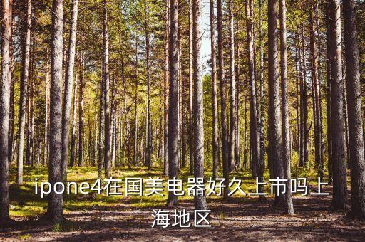 國美什么時候上市，杜康酒和國美電器有沒有上市的可能