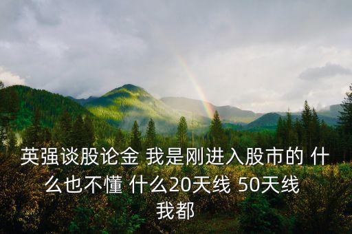英強談股論金 我是剛進入股市的 什么也不懂 什么20天線 50天線 我都