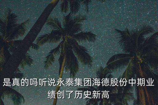海德股份是什么公司，永泰能源和海德股份屬同一家公司