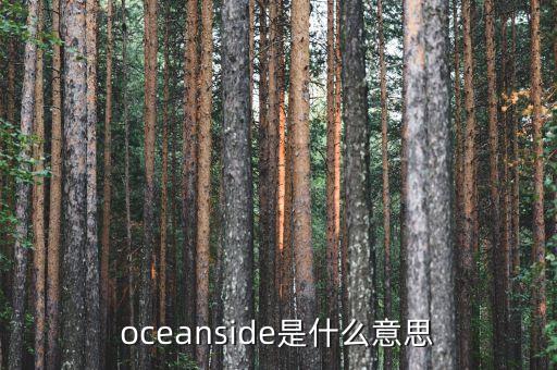 菜鳥倉什么意思，oceanside是什么意思