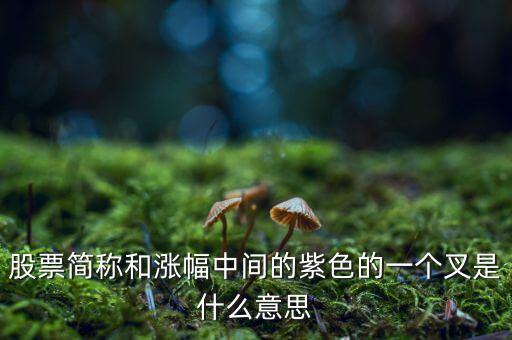 股票簡(jiǎn)稱(chēng)和漲幅中間的紫色的一個(gè)叉是什么意思