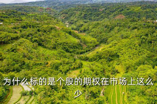 市場(chǎng)上為什么好的投資標(biāo)的少，2005年中國(guó)證券市場(chǎng)發(fā)生了什么為什么上市公司增發(fā)融資的那么少