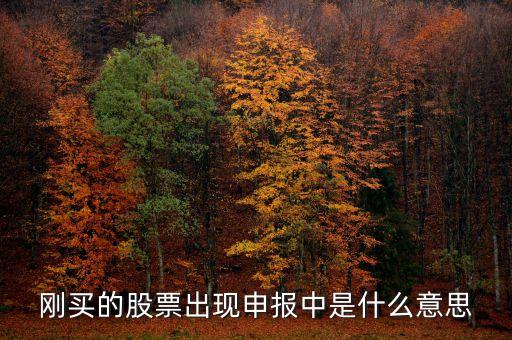 剛買的股票出現(xiàn)申報中是什么意思