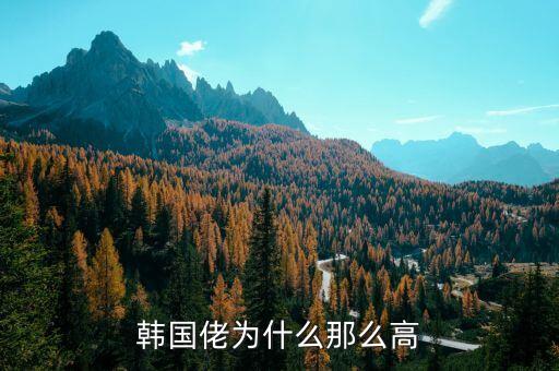 韓國(guó)佬為什么那么高