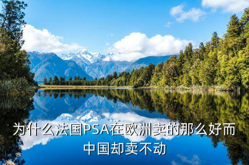 為什么法國(guó)PSA在歐洲賣的那么好而中國(guó)卻賣不動(dòng)