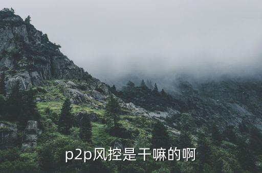 p2p理財(cái)風(fēng)控什么意思，為什么說風(fēng)控和團(tuán)隊(duì)是p2p理財(cái)命脈